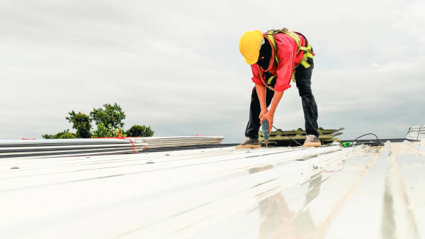 Best Metal Roofing Installation  in La Selva Beach, CA